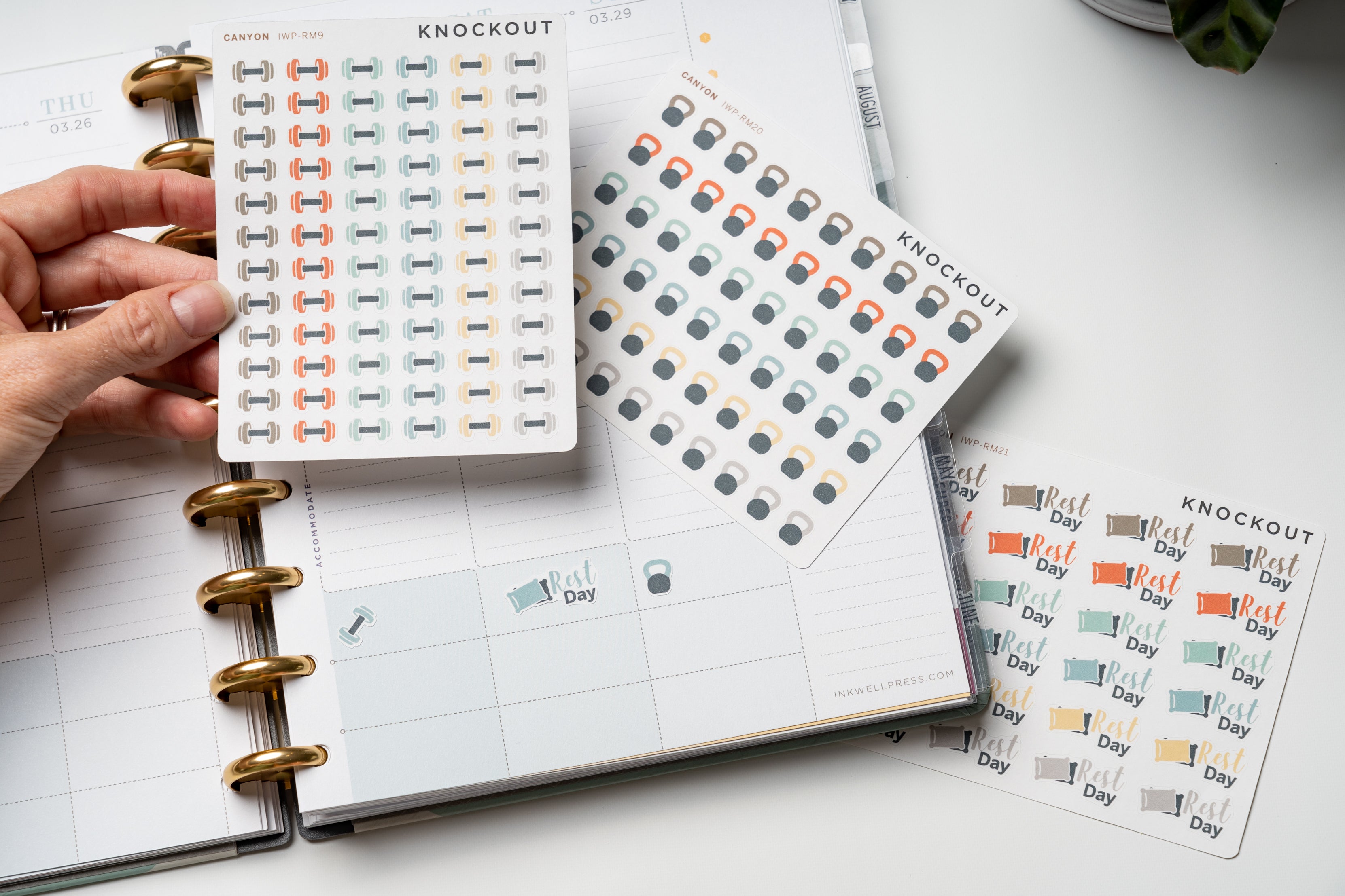 KO News: What's new at KOPS October 2019?!