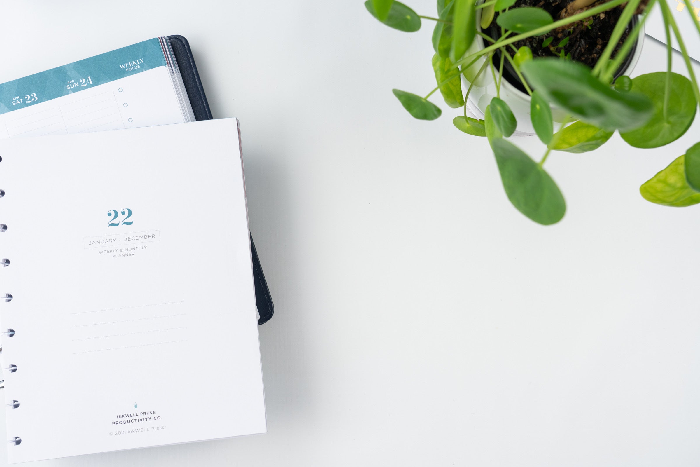 2022 Inkwell Press Planner First Impressions + Comparison