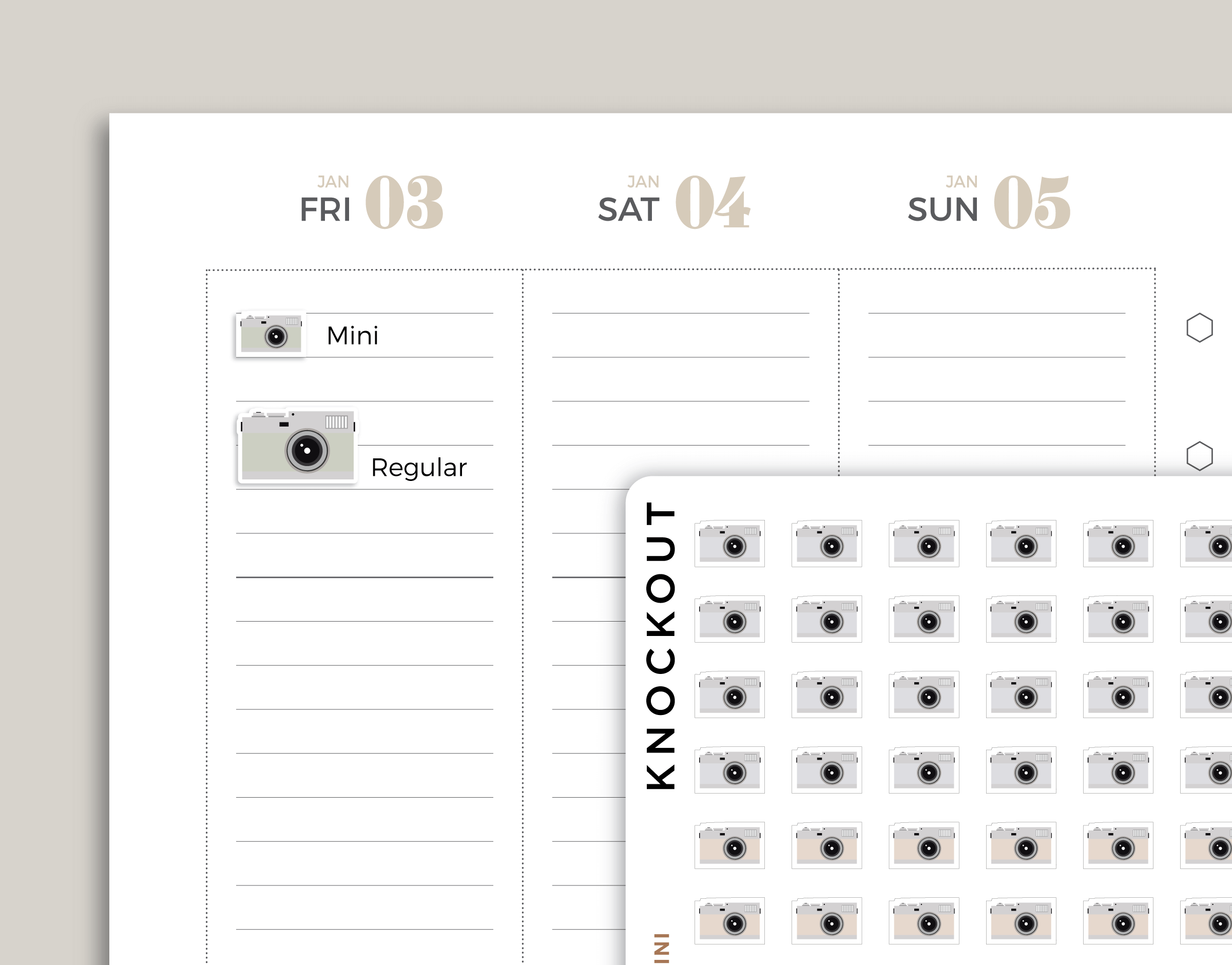 Camera Icon Planner Stickers for inkWELL Press Planners IWPS49