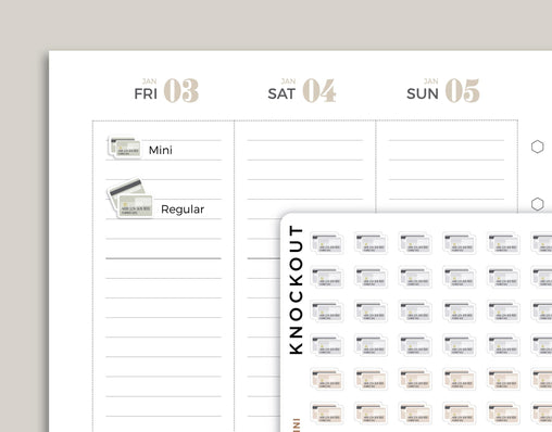 Credit Card Icon Planner Stickers for inkWELL Press Planners IWPS46
