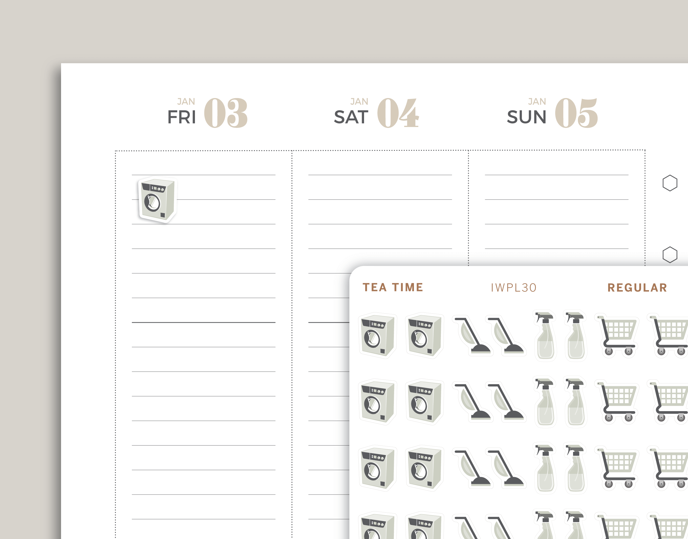 Cleaning/Chore Sampler Icon Planner Stickers for inkWELL Press IWPL30