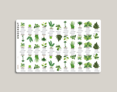 Water Plants, Plant Care Icon Planner Stickers sheet layout