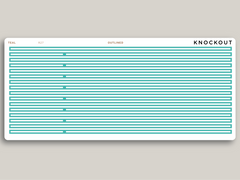 Full Length Horizontal Washi Stickers for MakseLife Planners R27