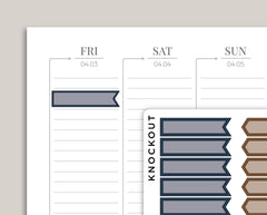 Professional Two Tone Flag Sampler Planner Stickers PCL3