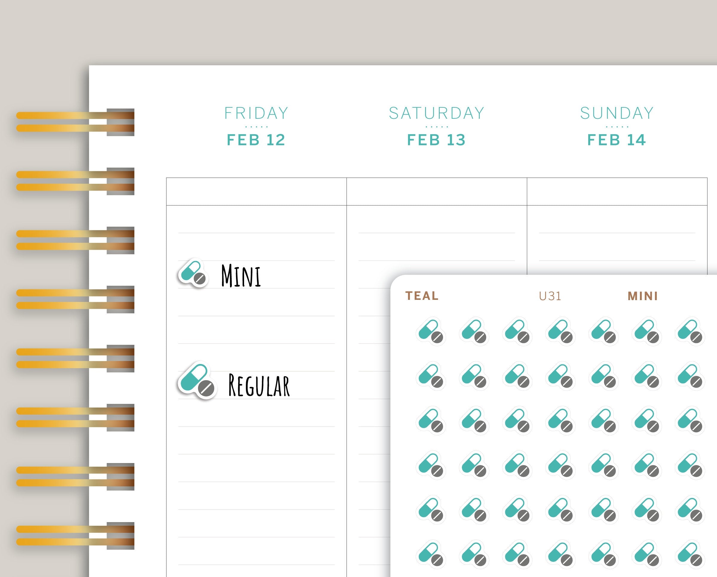 Pill Icon Planner Stickers for Makse Life Planners U31