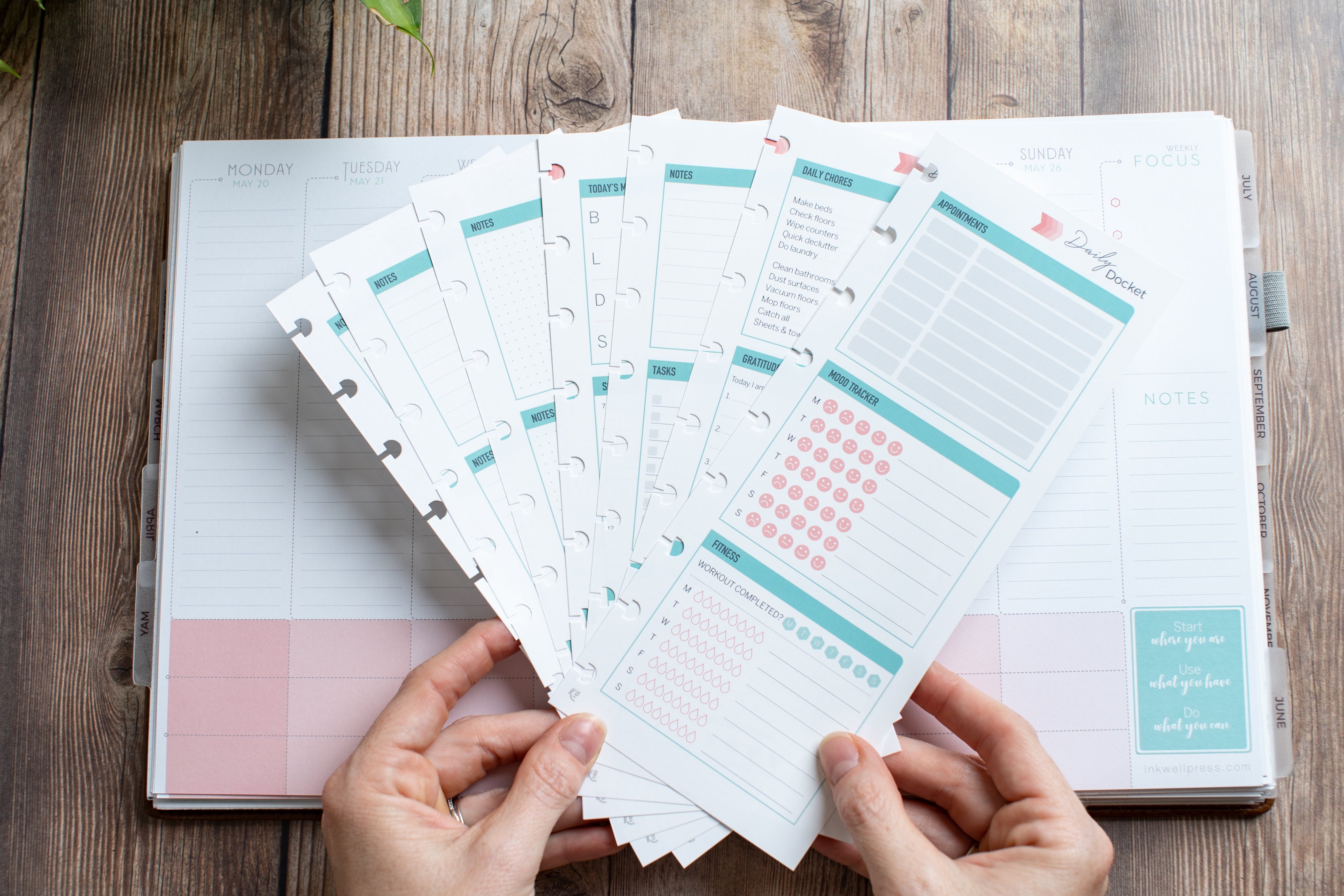 Create your perfect insert | New Release - Daily Docket