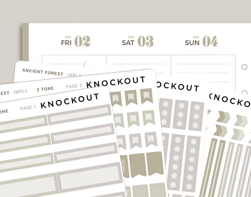 2 Tone Classic Functional Sampler Kit for inkWELL Press Planners IWPL2