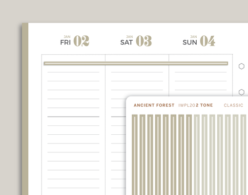 2 Tone CLASSIC Divider Washi Strip Stickers for inkWELL Press Planners IWPL20