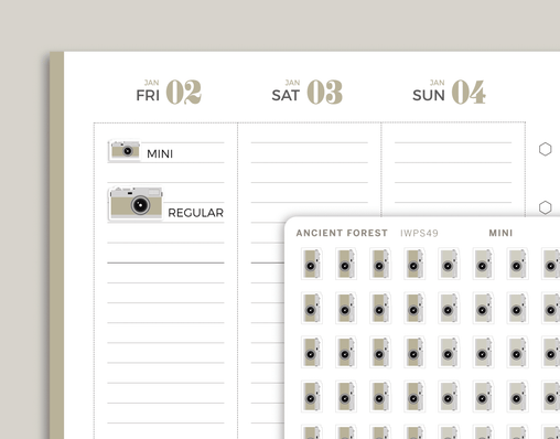 Camera Icon Planner Stickers for inkWELL Press Planners IWPS49