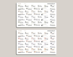 Quarterly Chores Sampler Planner Stickers for inkWELL Press Planners IWPL33