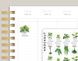 Water Plants, Plant Care Icon Planner Stickers FL1