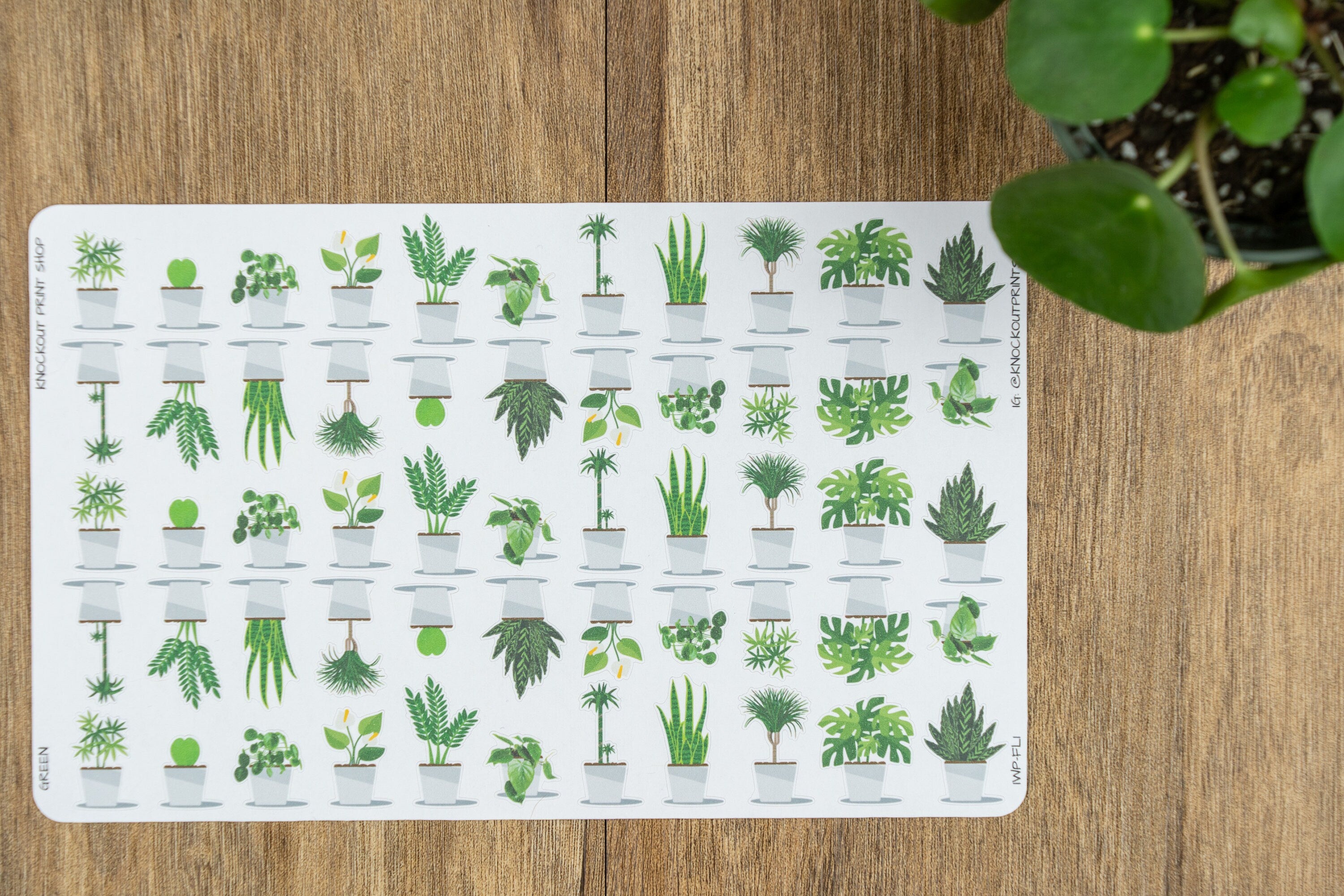 Plant Planner Stickers Decorative & Functional Planning Plant Stickers  Plants 