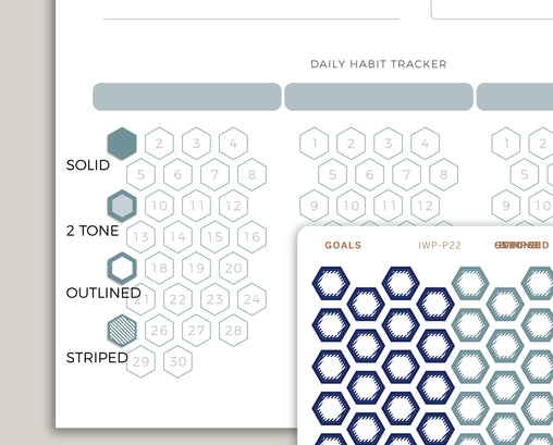 Habit Tracker GOAL Hexagons Stickers for 2021 inkWELL Press Planners IWP-P22