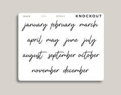 Transparent Month Planner Sticker FQ53