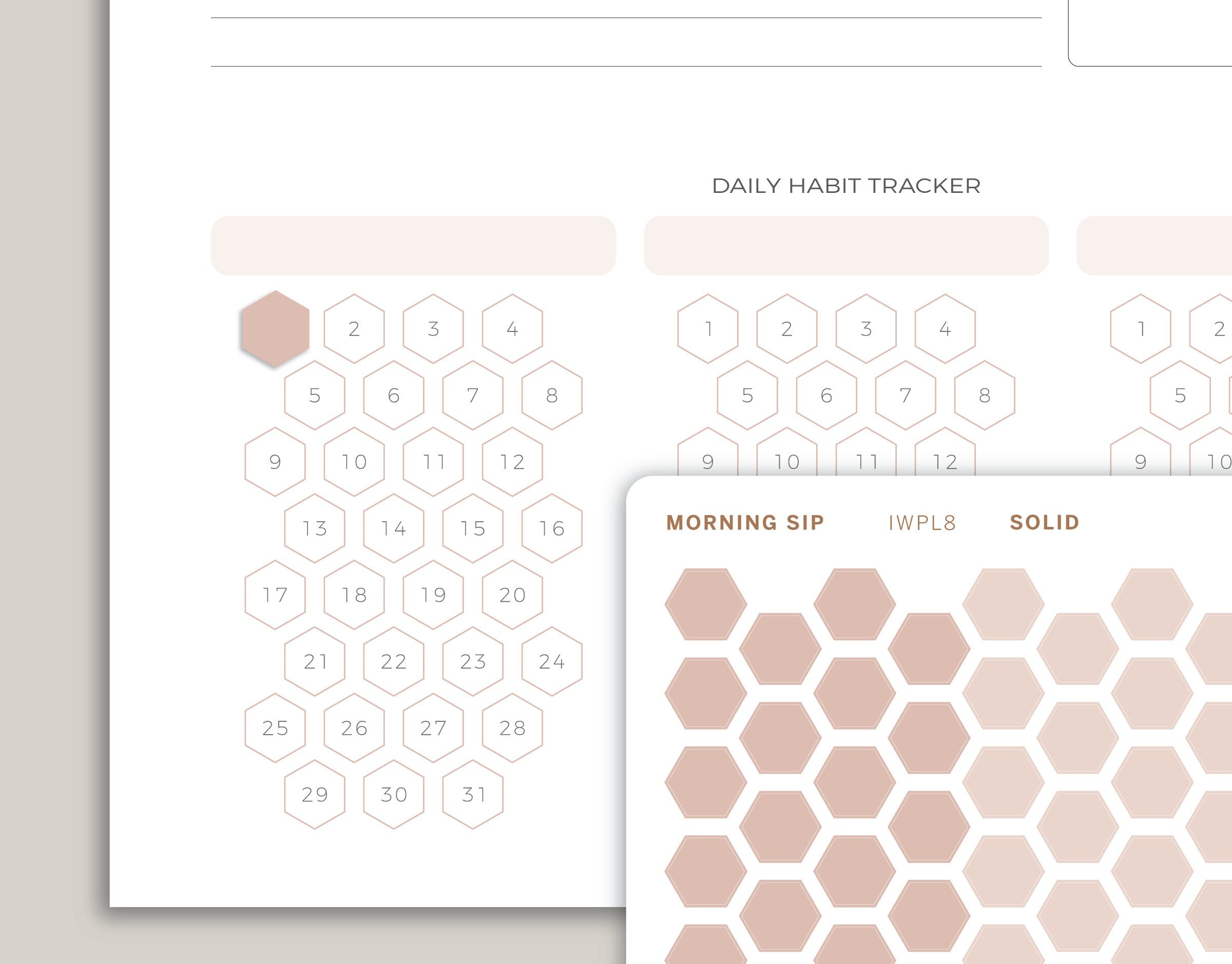 Habit Tracker Hexagons Stickers for 2022 inkWELL Press Planners IWP-P2